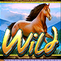 Wild коричневая лошадь Wild коричневая лошадь